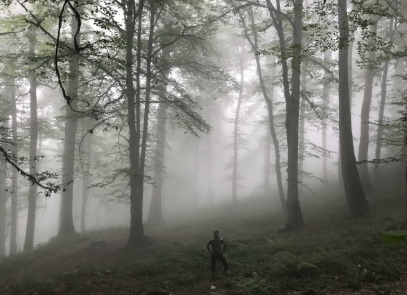 Iran Northern Jungles; Spring 2018 _ Photo by: Javid Rezaia