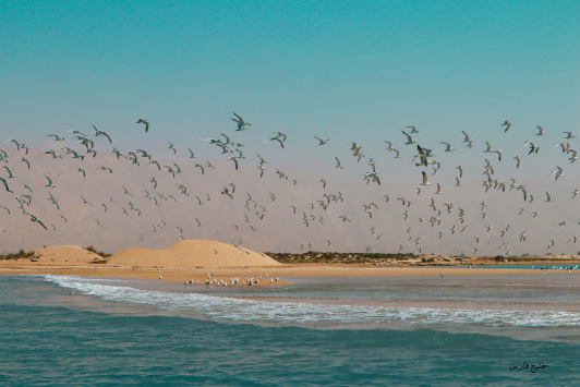 Journey in The South Islands