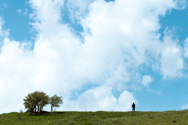 Nature of Iran _ Photo by: Javid Rezaia